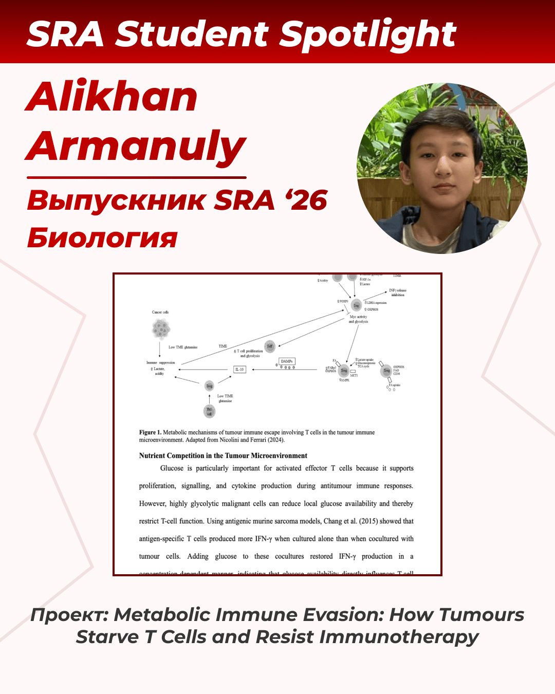Обложка проекта — Алихан Арманулы